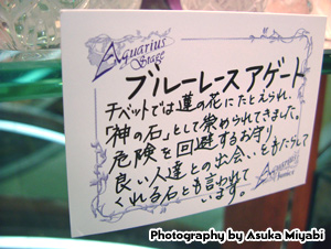 �A�N�G���A�X�X�e�[�W��X�X�l�`�J�[�h