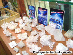 �A�N�G���A�X�X�e�[�W��X�X�l�`�p�l��