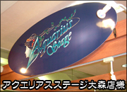 �A�N�G���A�X�X�e�[�W���|�[�g�i��X�X�l�j